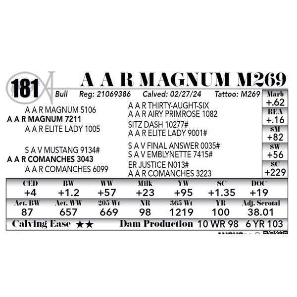 A A R Magnum M269