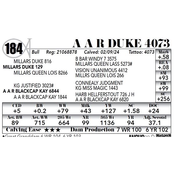 A A R Duke 4073