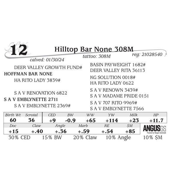 Hilltop Bar None 308M