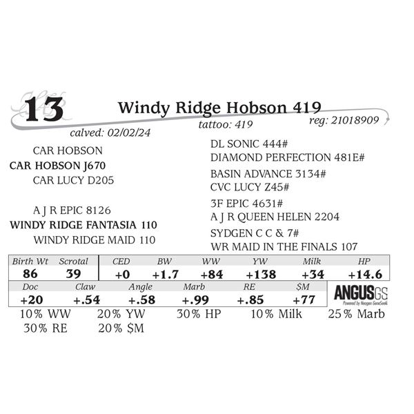 Windy Ridge Hobson 419