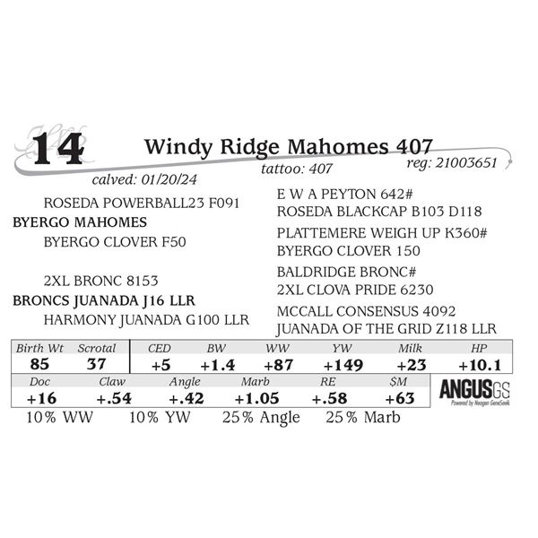 Windy Ridge Mahomes 407