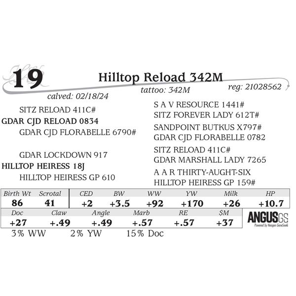 Hilltop Reload 342M