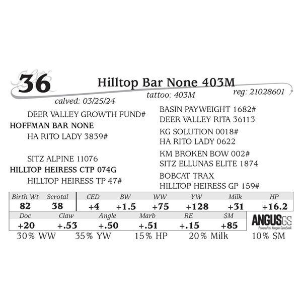 Hilltop Bar None 403M