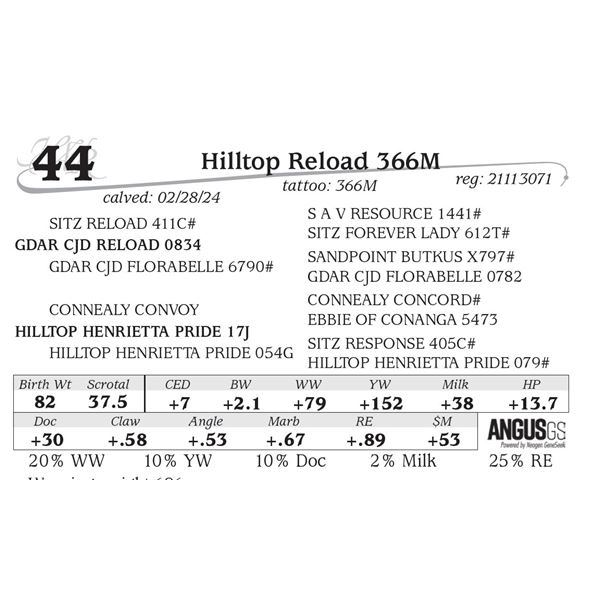 Hilltop Reload 366M