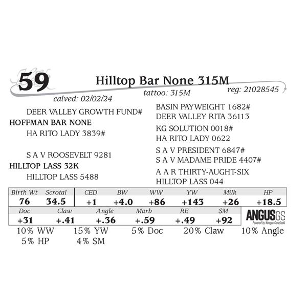 Hilltop Bar None 315M