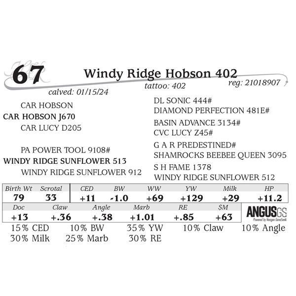 Windy Ridge Hobson 402