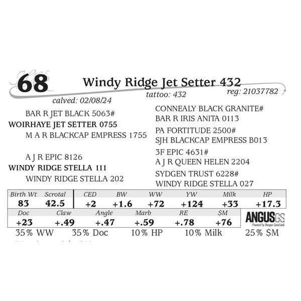 Windy Ridge Jet Setter 432