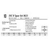 Image 1 : JVC V Spur Ari M21