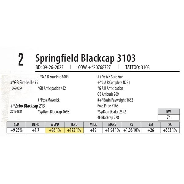 Springfield Blackcap 3103