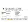 Image 1 : Springfield Blackcap 3103