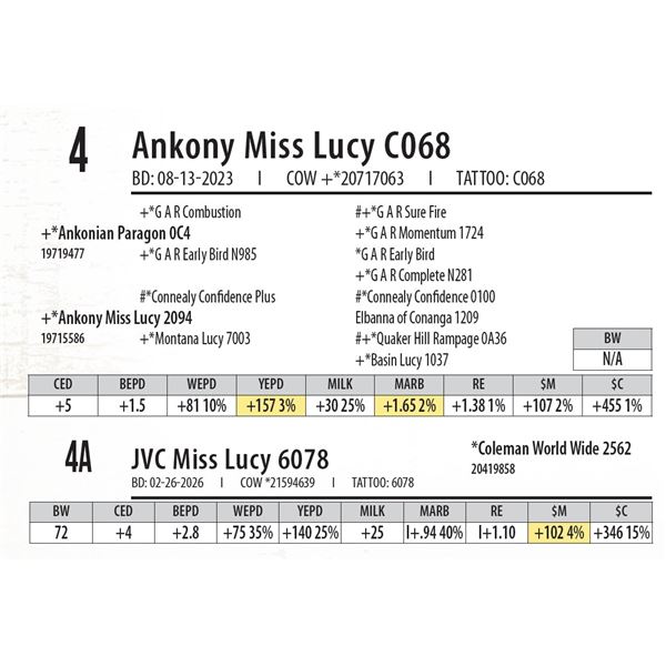 JVC Miss Lucy 6078
