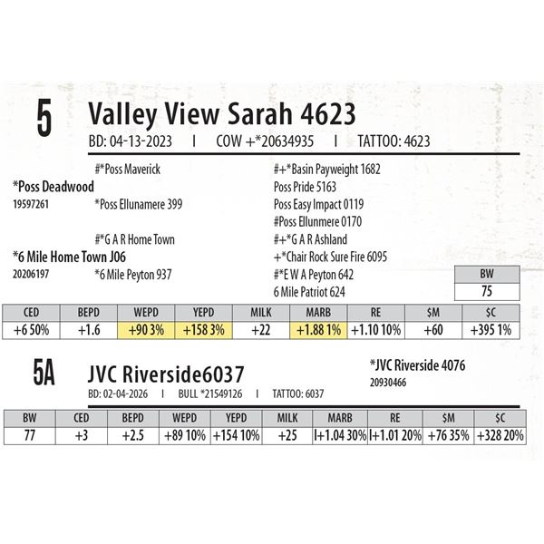 Valley View Sarah 4623