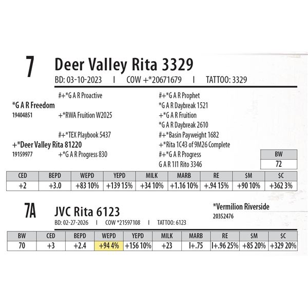 Deer Valley Rita 3329