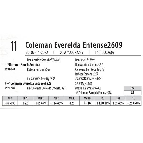 Coleman Everelda Entense2609