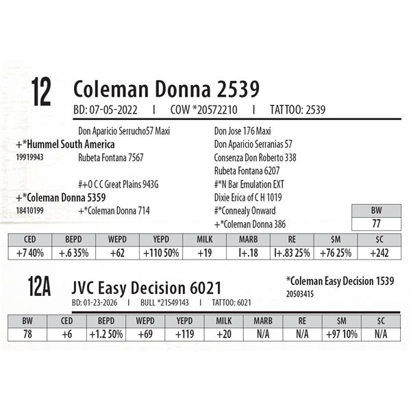 Coleman Donna 2539