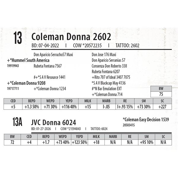 Coleman Donna 2602