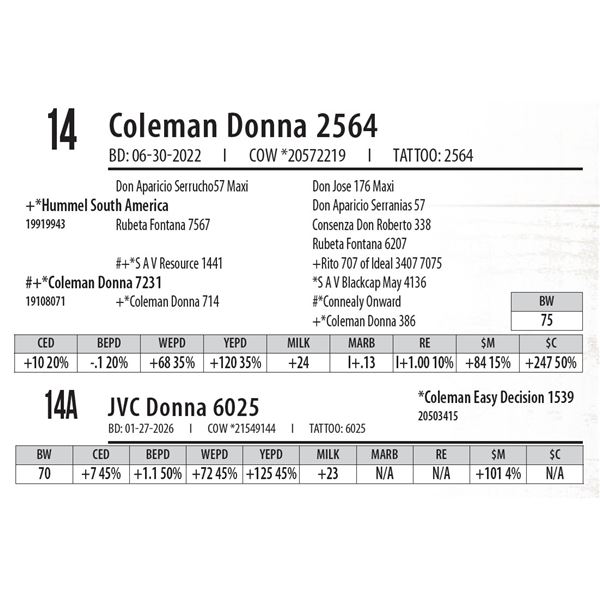 Coleman Donna 2564