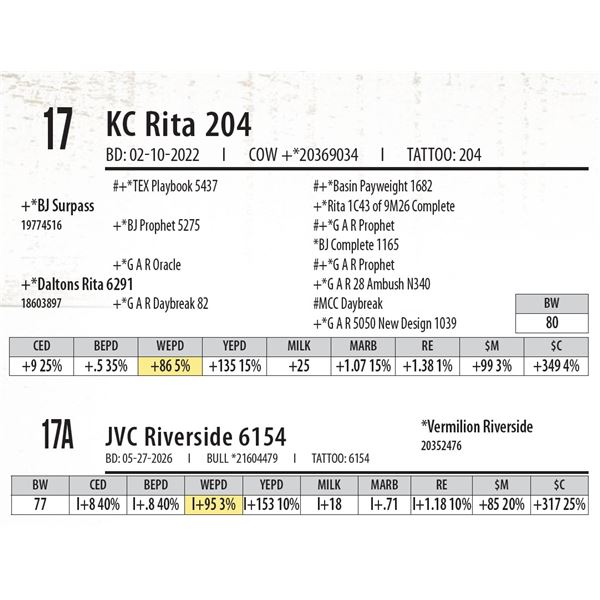 KC Rita 204