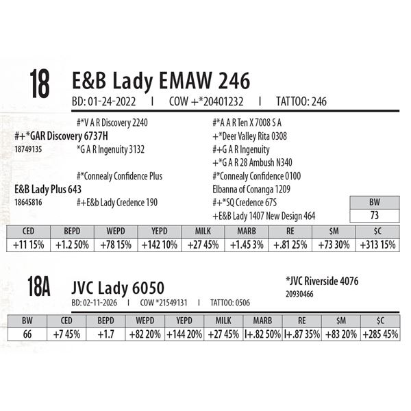 E&B Lady EMAW 246