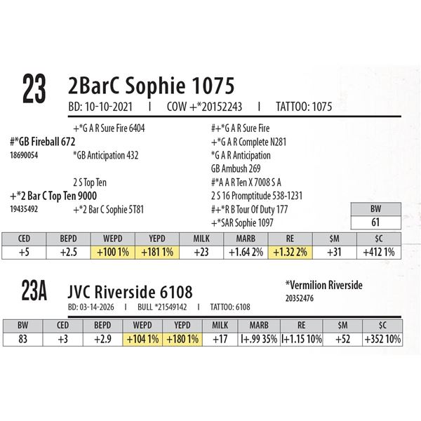 2BarC Sophie 1075