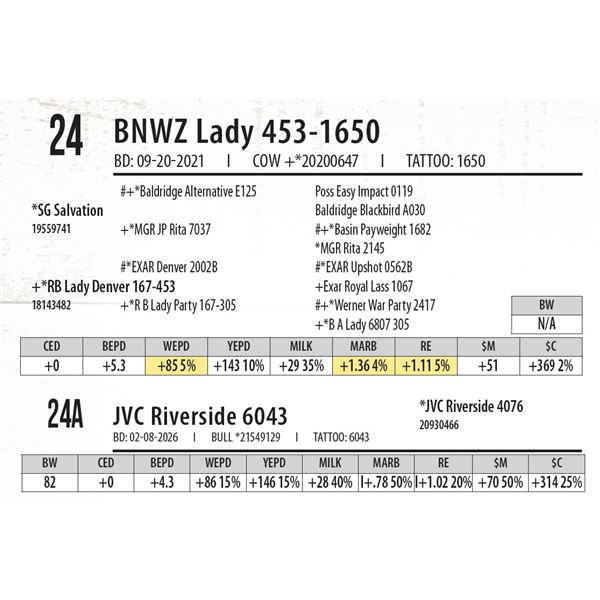 BNWZ Lady 453-1650