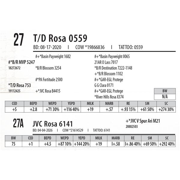 T/D Rosa 0559