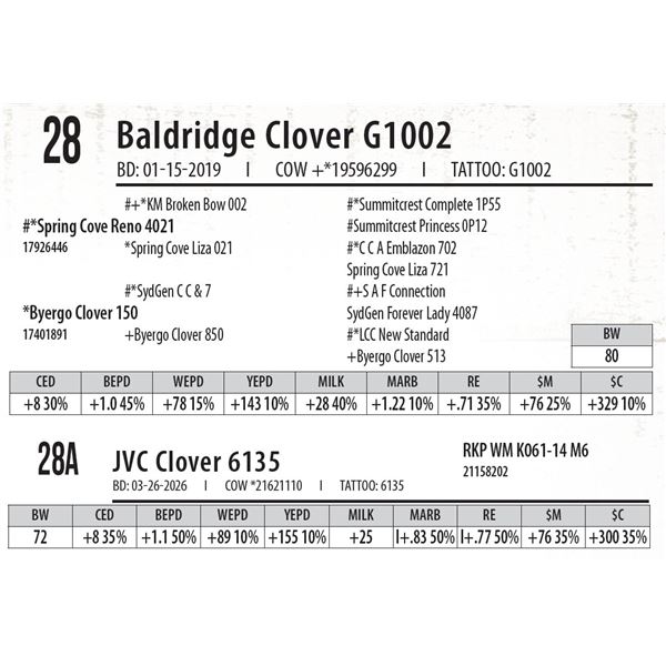 JVC Clover 6135