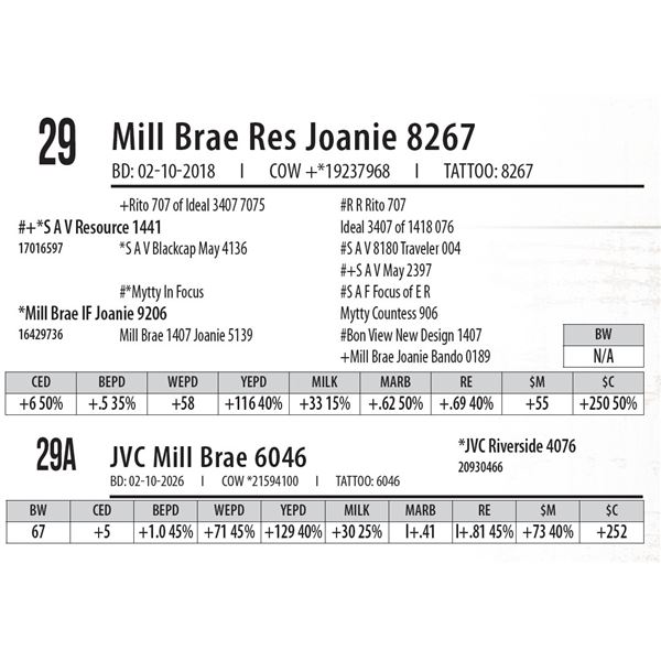 JVC Mill Brae 6046