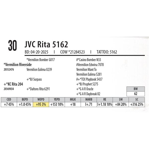 JVC Rita 5162