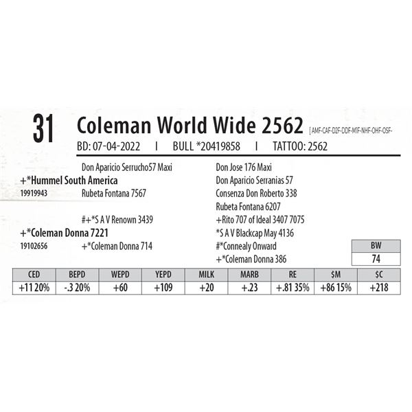 Coleman World Wide 2562