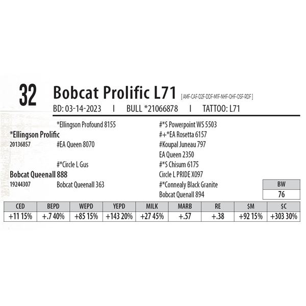 Bobcat Prolific L71