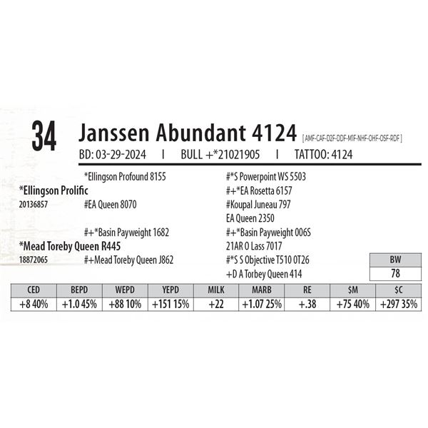 Janssen Abundant 4124