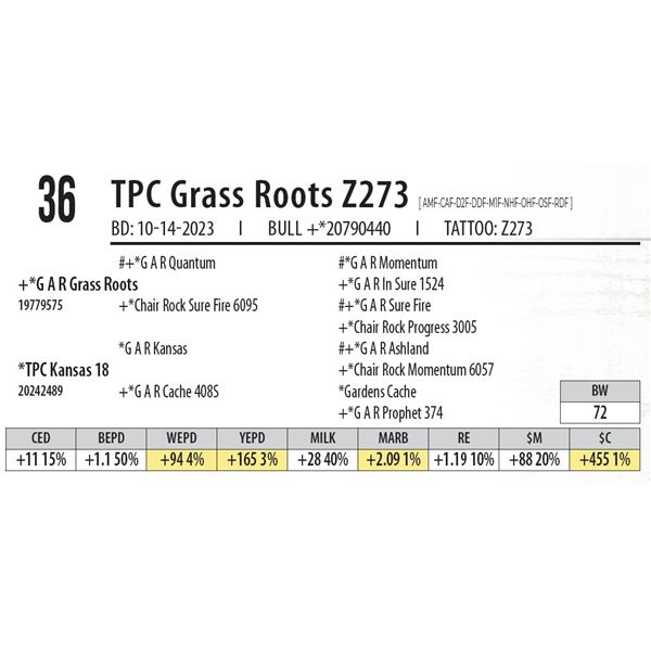 TPC Grass Roots Z273