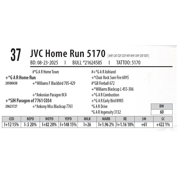 JVC Home Run 5170