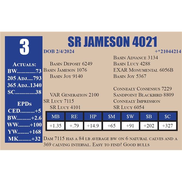 SR JAMESON 4021