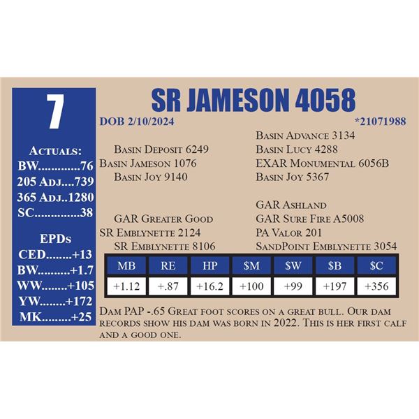 SR JAMESON 4058