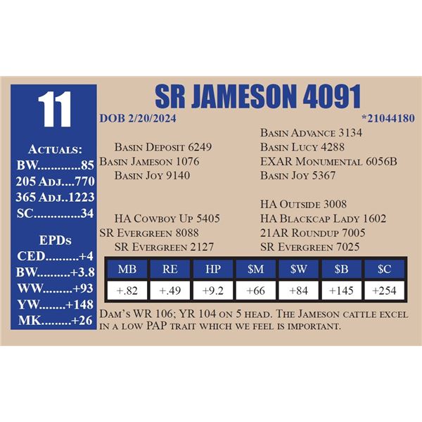 SR JAMESON 4091