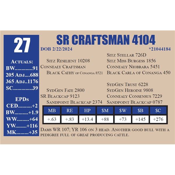 SR CRAFTSMAN 4104