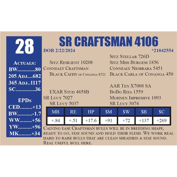 SR CRAFTSMAN 4106