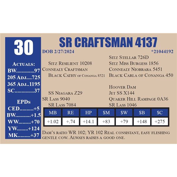 SR CRAFTSMAN 4137