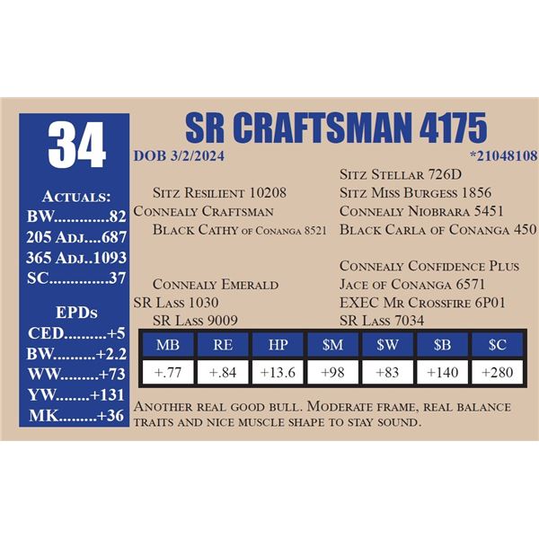 SR CRAFTSMAN 4175