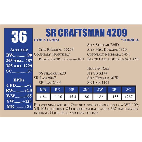 SR CRAFTSMAN 4209