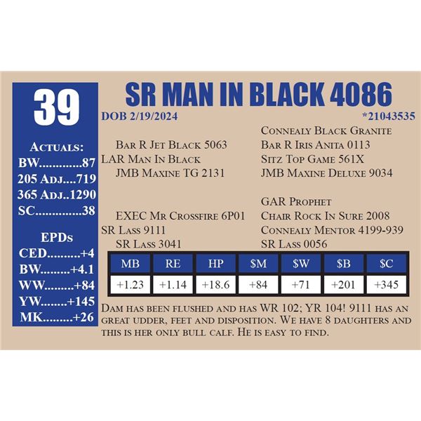 SR MAN IN BLACK 4086
