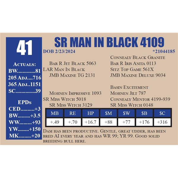 SR MAN IN BLACK 4109