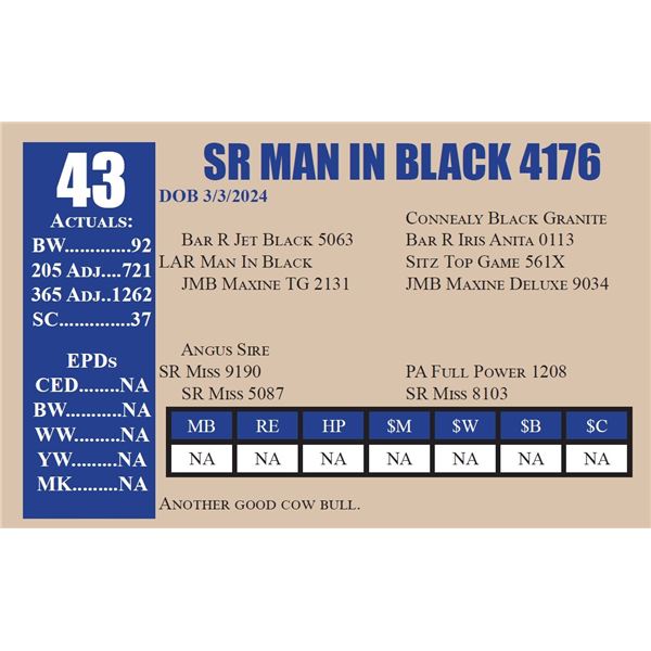 SR MAN IN BLACK 4176