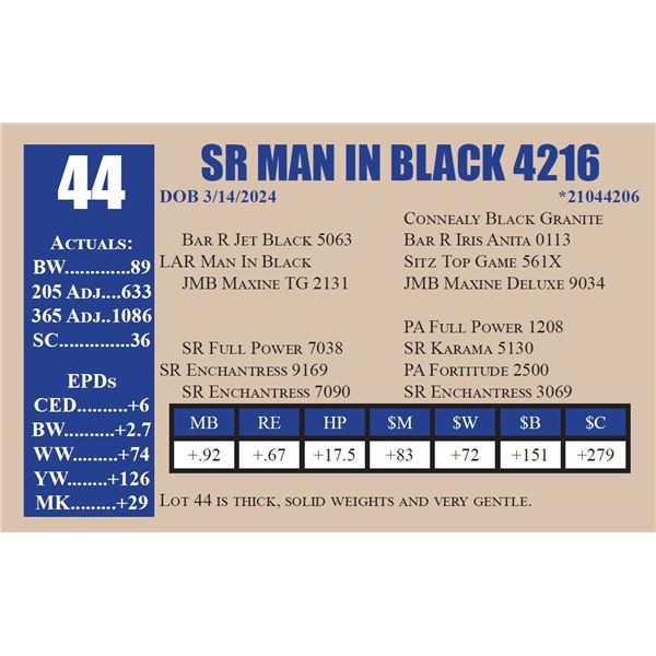SR MAN IN BLACK 4216