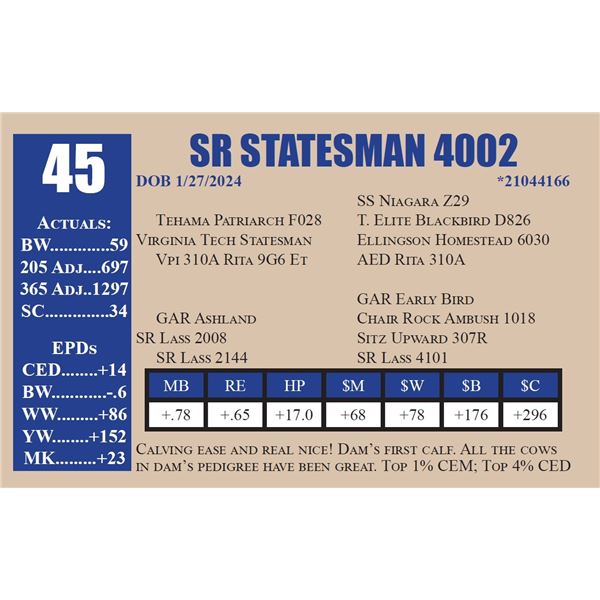 SR STATESMAN 4002