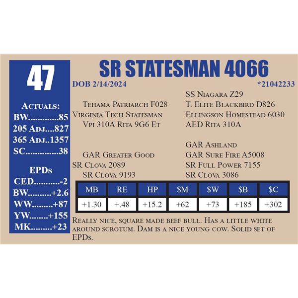 SR STATESMAN 4066