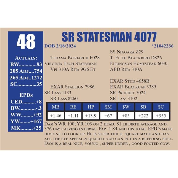 SR STATESMAN 4077