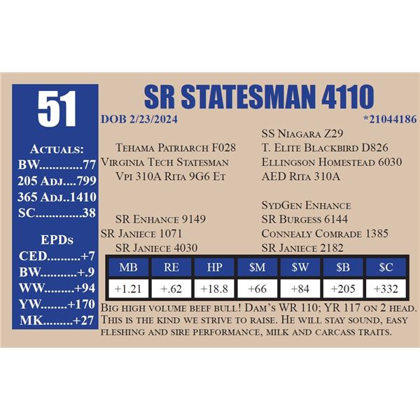 SR STATESMAN 4110